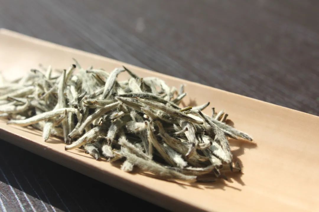 福建六大茶类非遗档案福鼎白茶古法天成的自然韵味