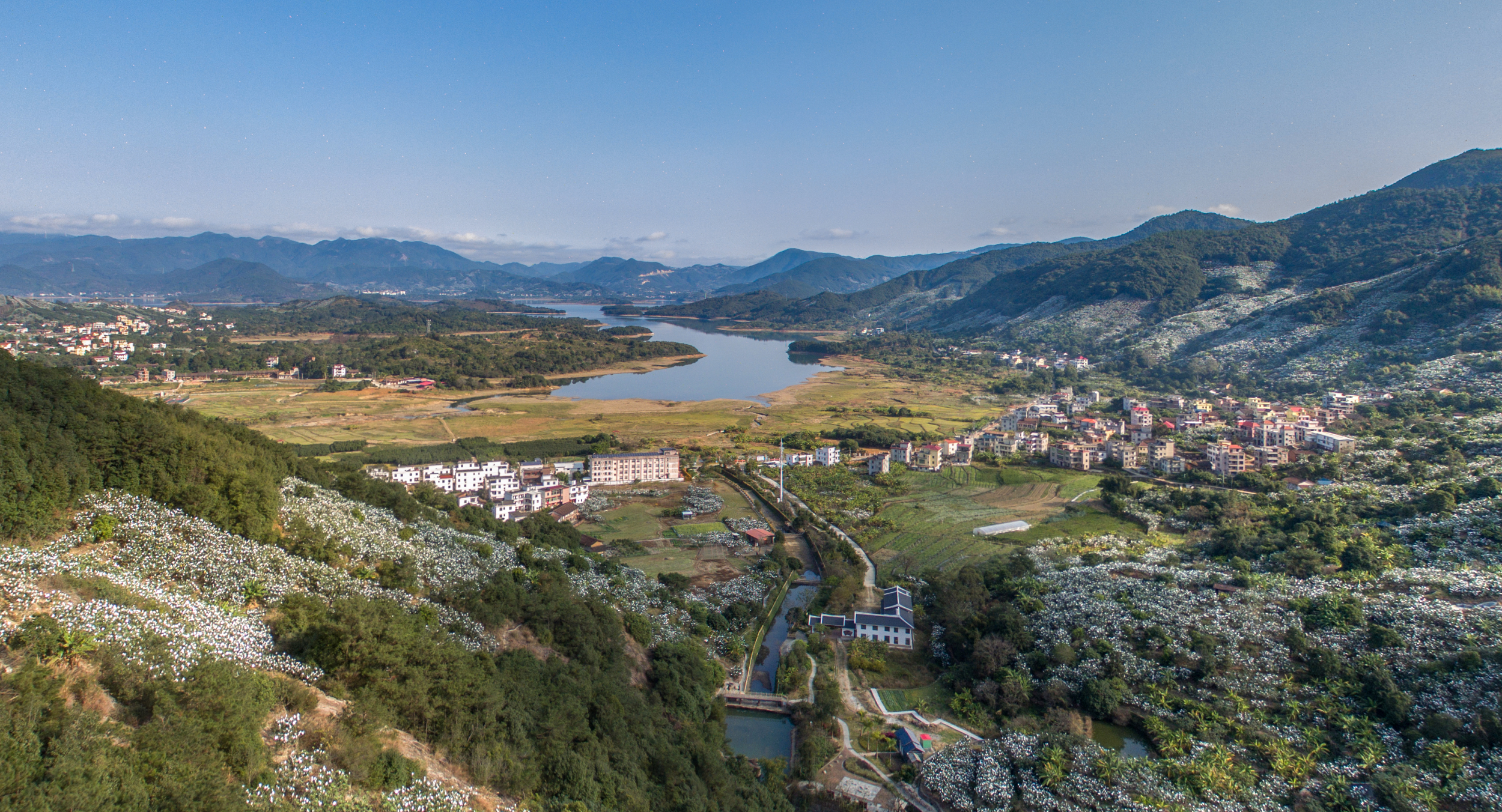常太镇岭下村:东圳湖畔奏响乡村"振兴曲"