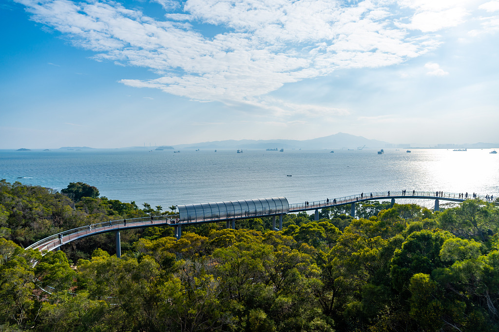 厦门山海步道 一路绿意盎然
