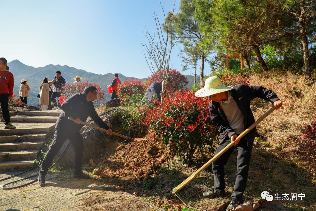 春风十里添新绿周宁县领导参加义务植树活动