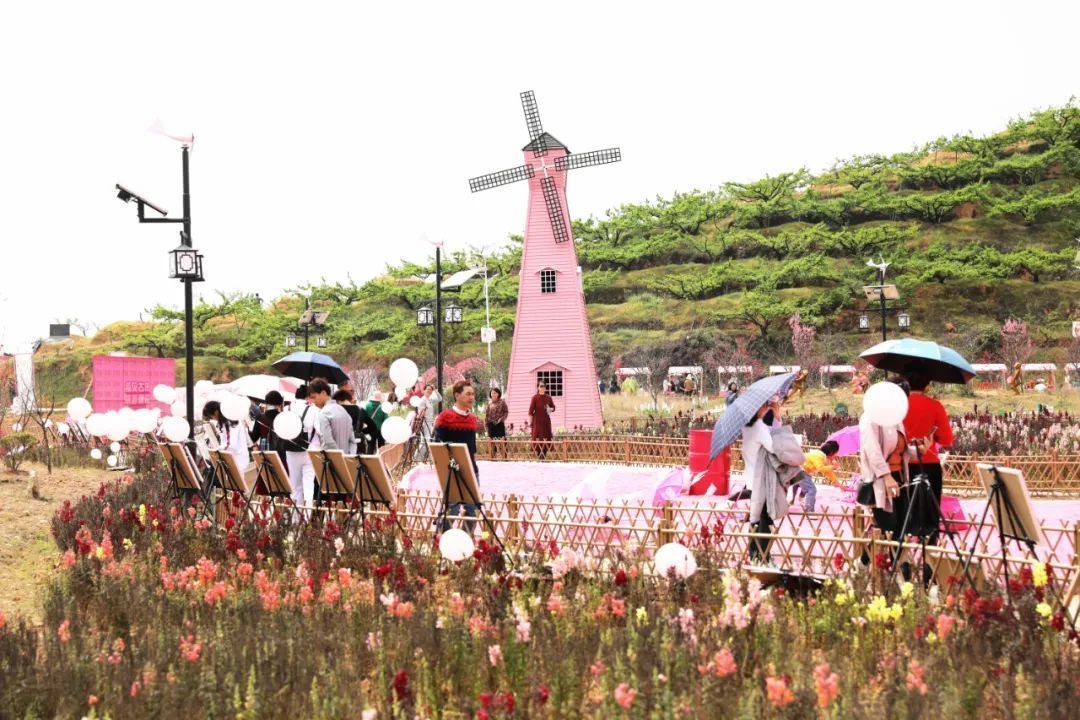 桃源探花福建古田际面桃花节于3月21日开幕
