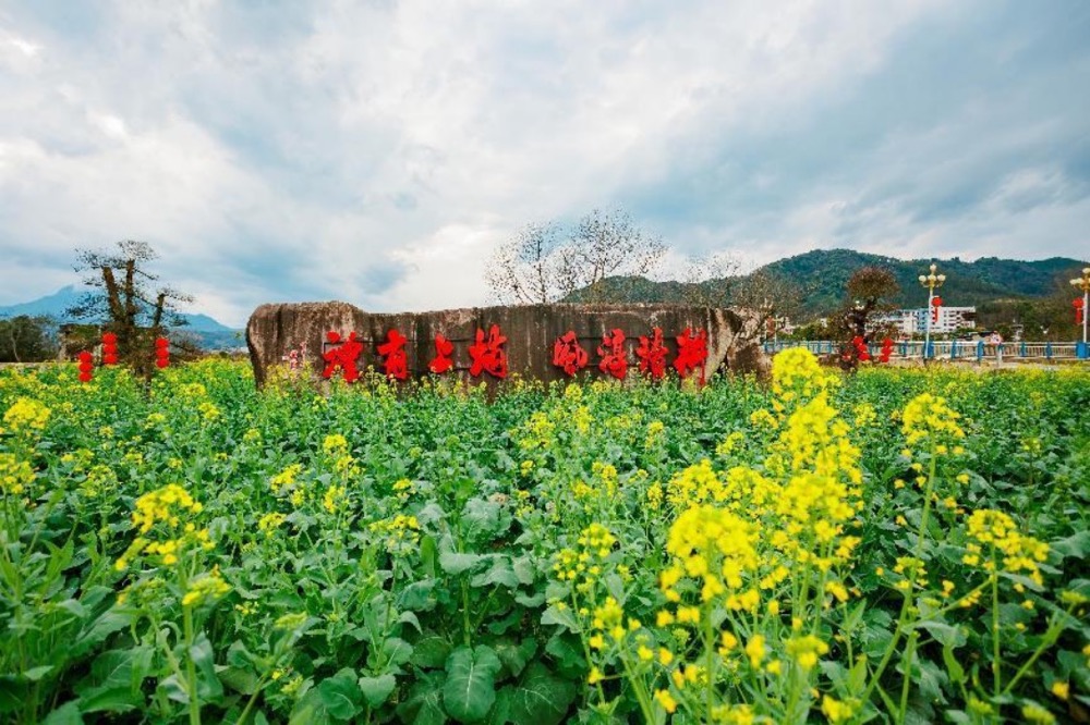 顺昌埔上厚植营商沃土激活发展春水
