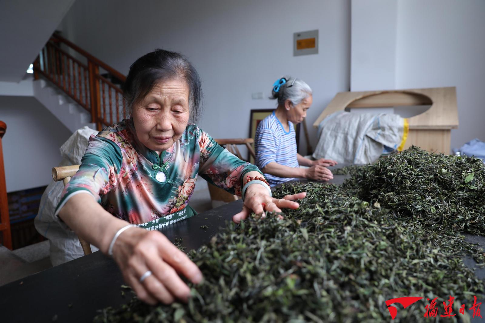 4月20日，在福建省南平市建阳区回龙乡垅下村的的天云茶厂，村民忙着制茶、选茶。 (黄杰敏 摄) (3).jpg