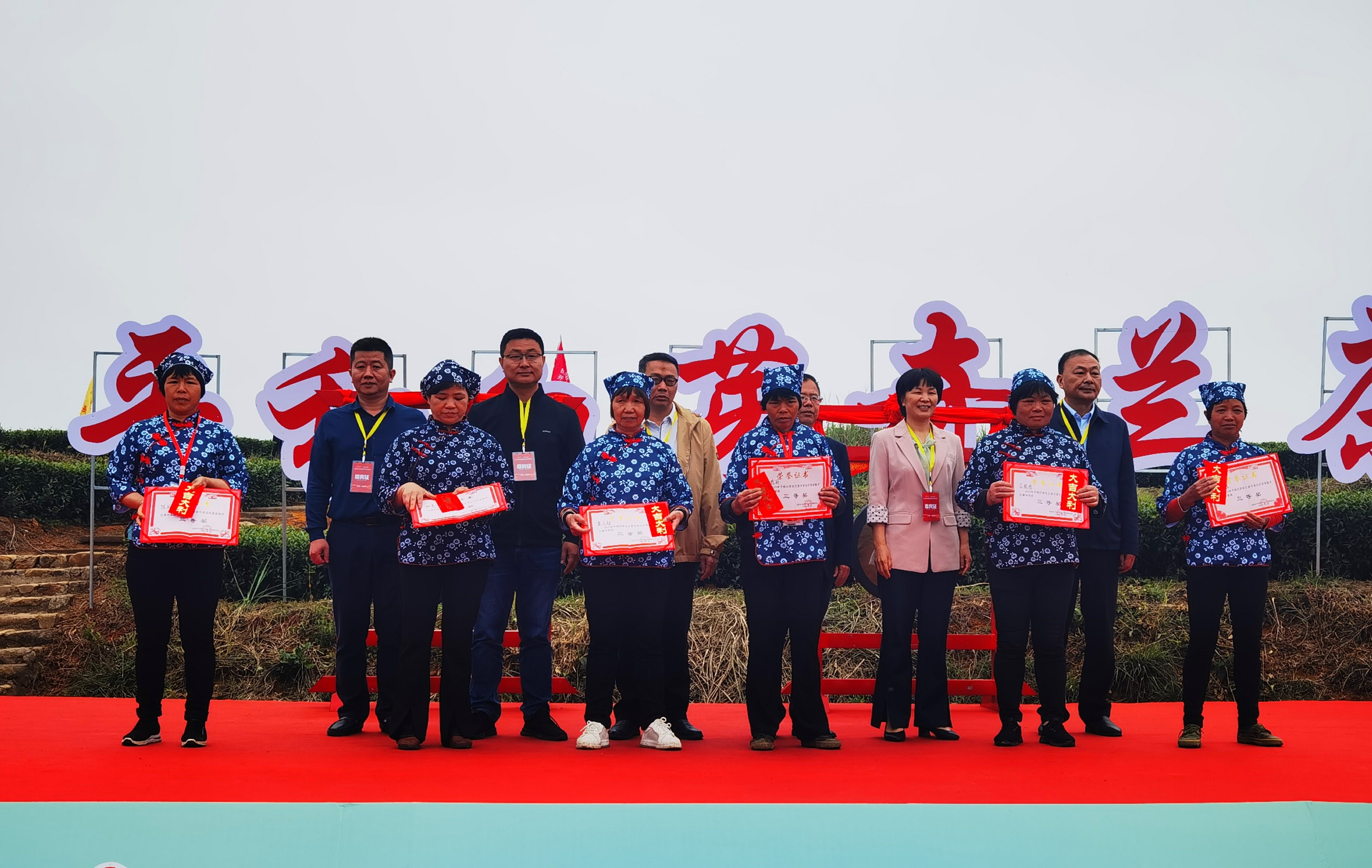 平和崎岭:四月茶乡开茶时 奇兰碧绿嫩芽新