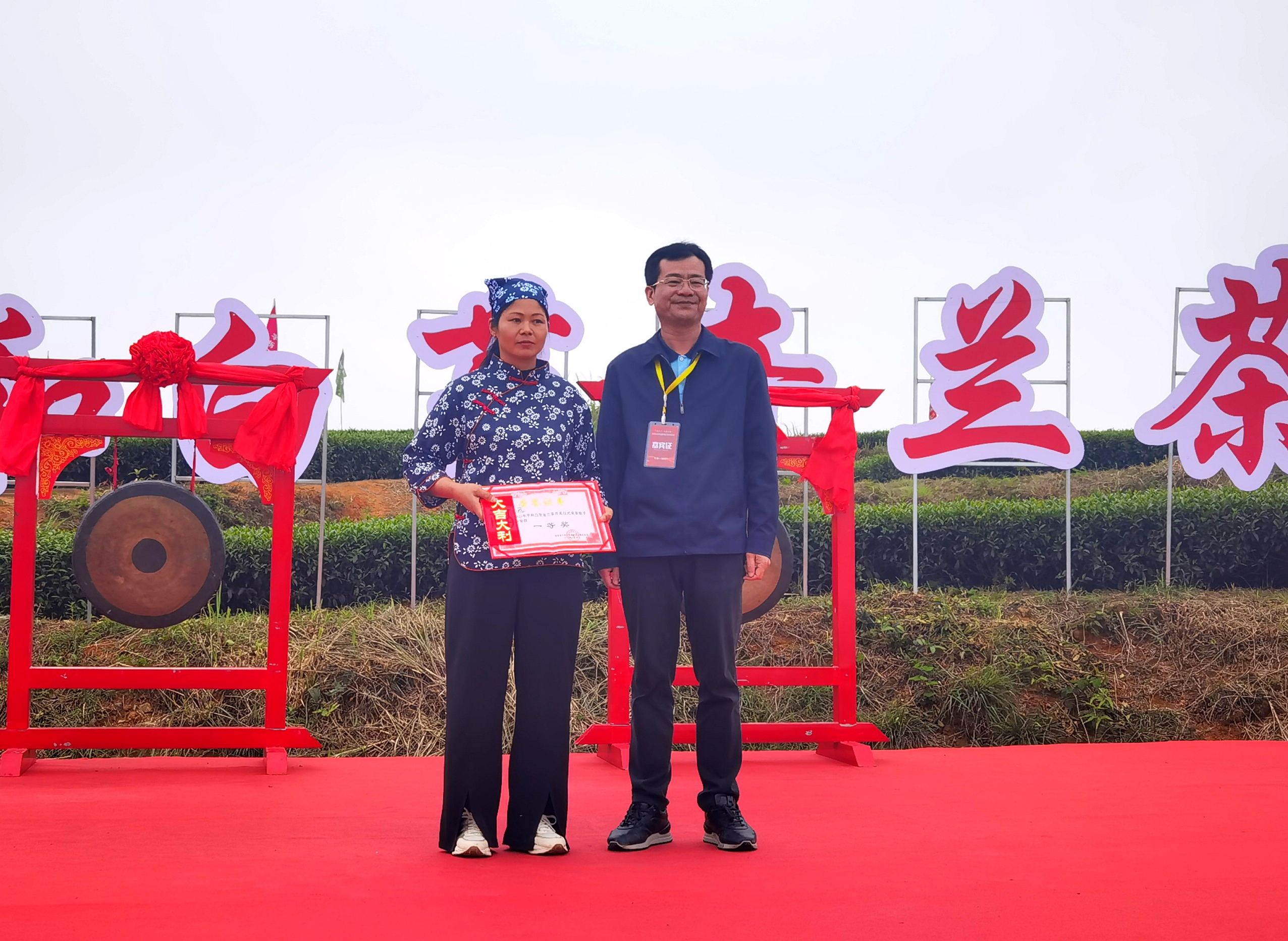 平和崎岭:四月茶乡开茶时 奇兰碧绿嫩芽新