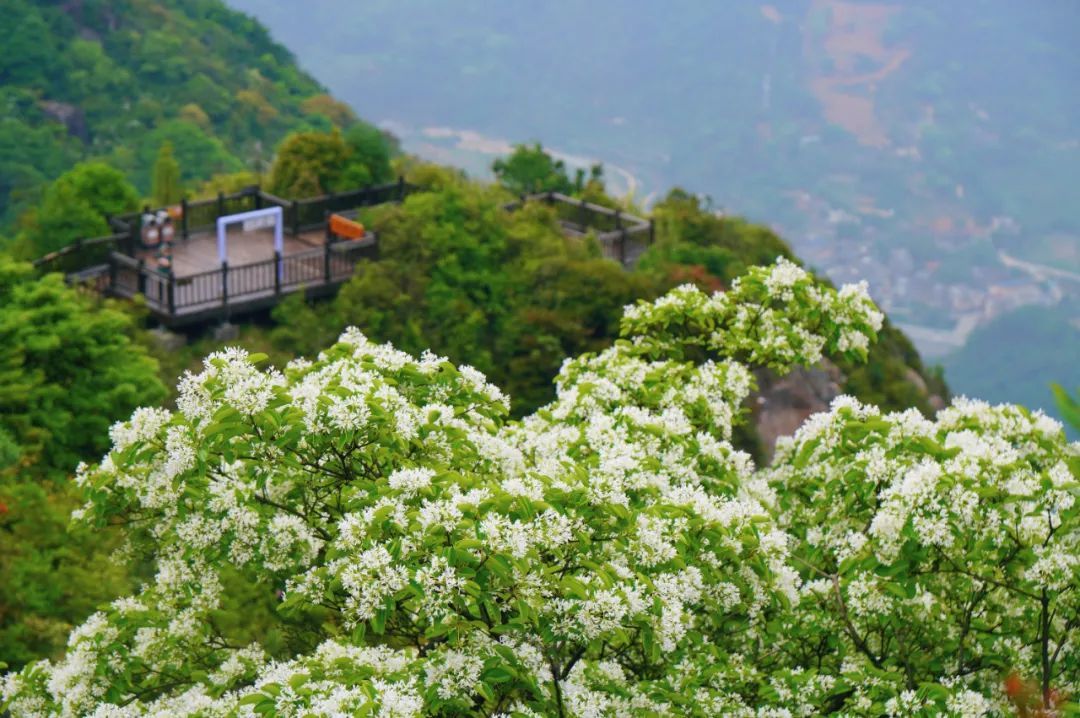 国风图片鼓岭图片