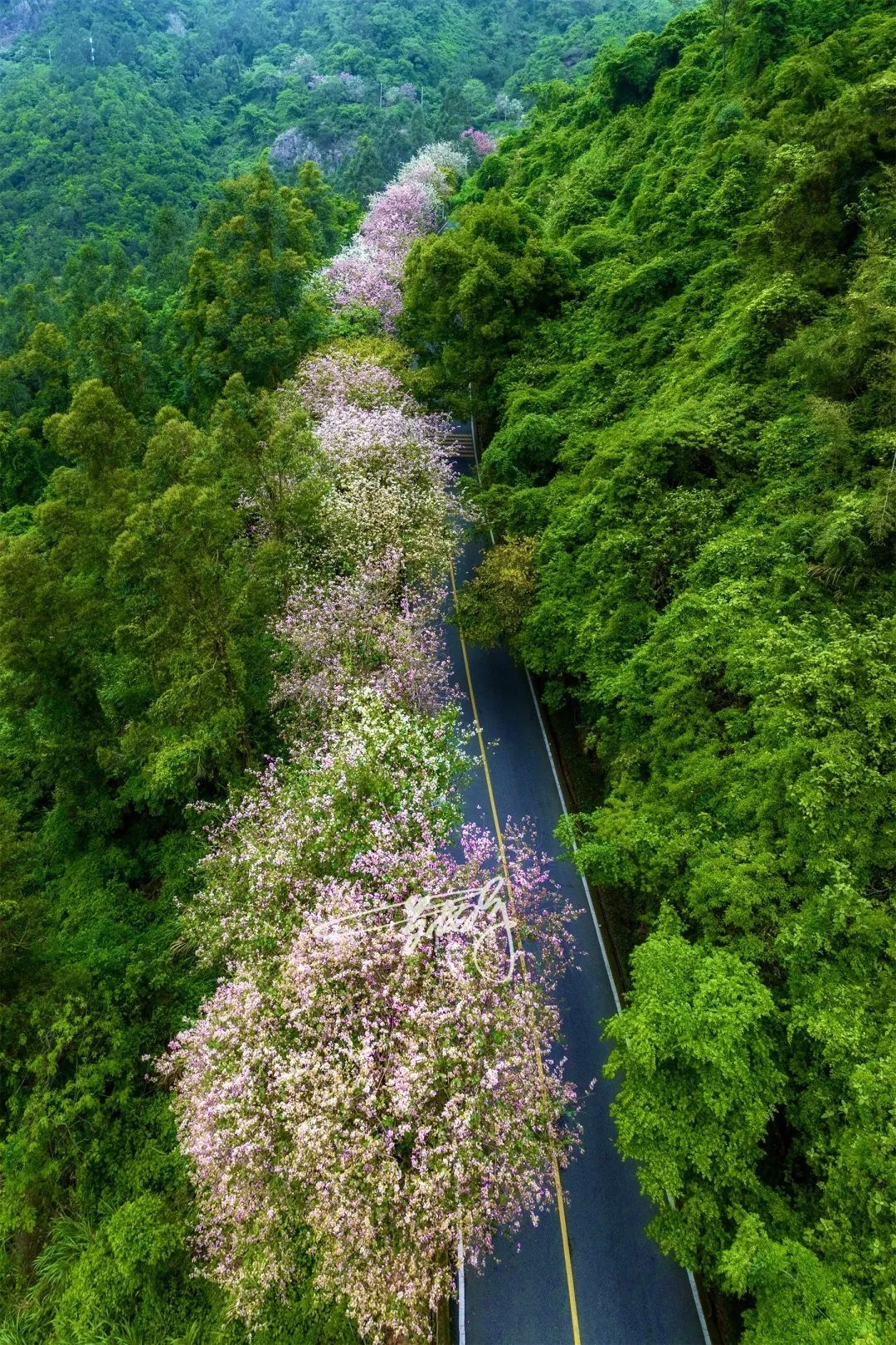 国风图片鼓岭图片