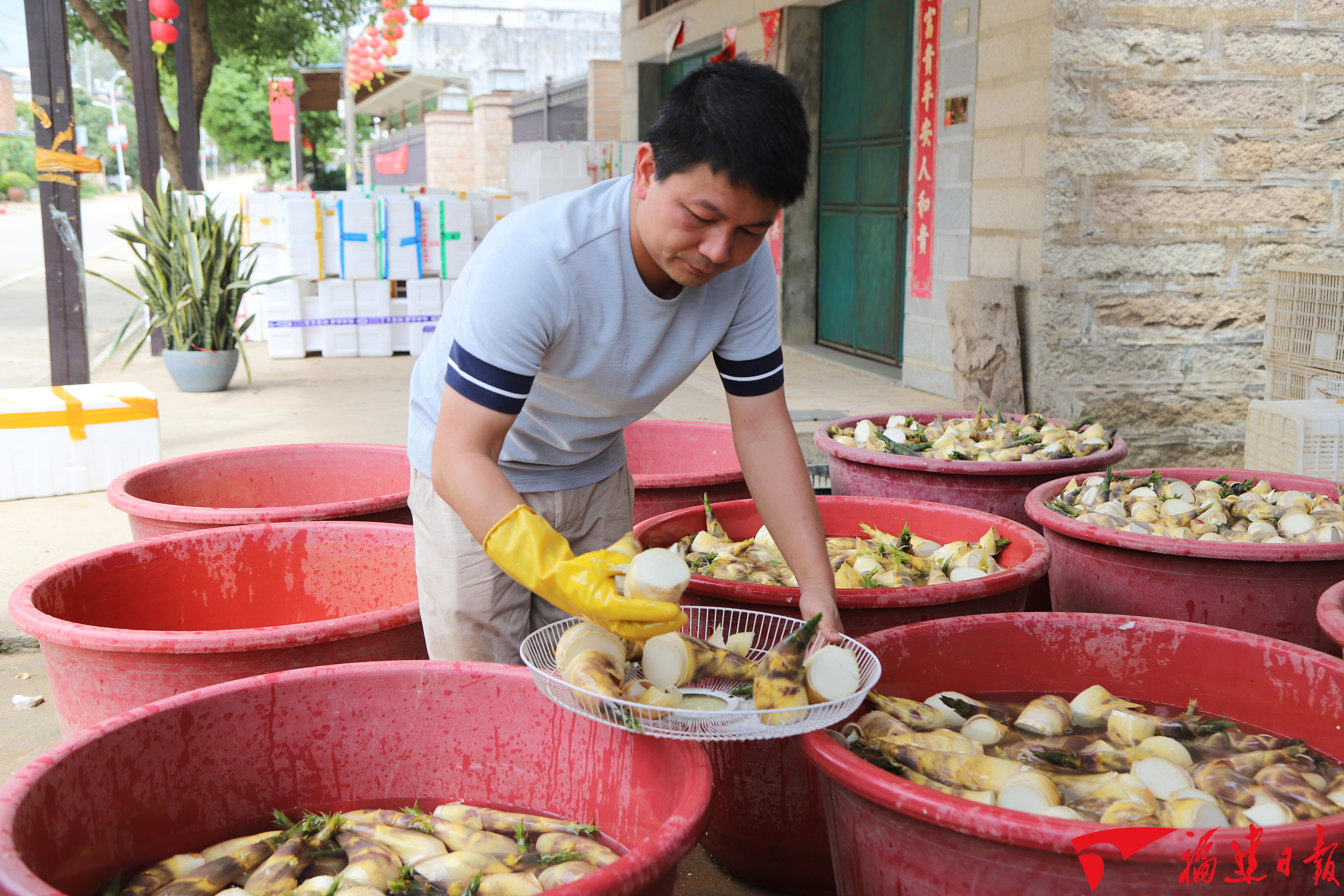 漳浦南浦乡点"竹"成金
