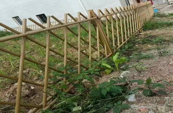 ƽ�;ŷ壺������ʡ���֯��������»���