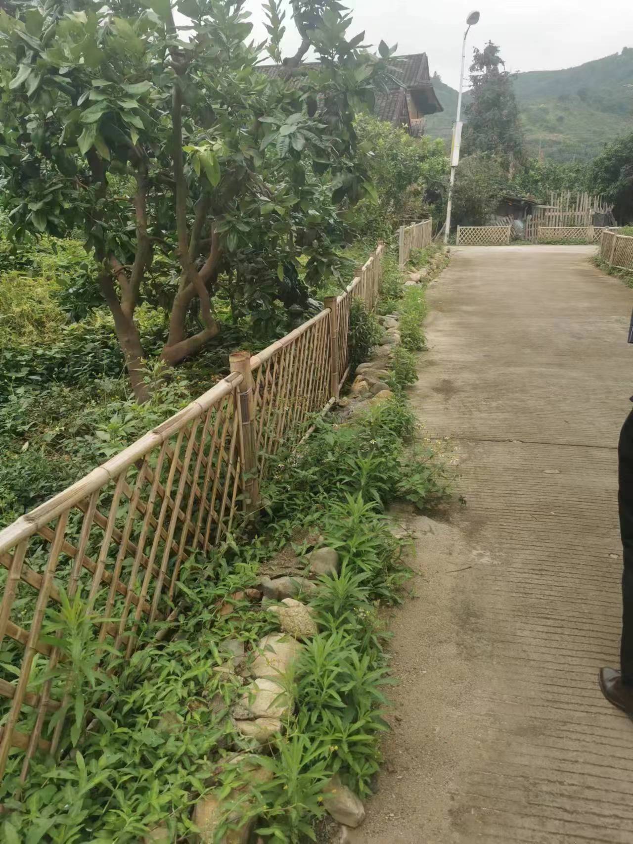 ƽ�;ŷ壺������ʡ���֯��������»���