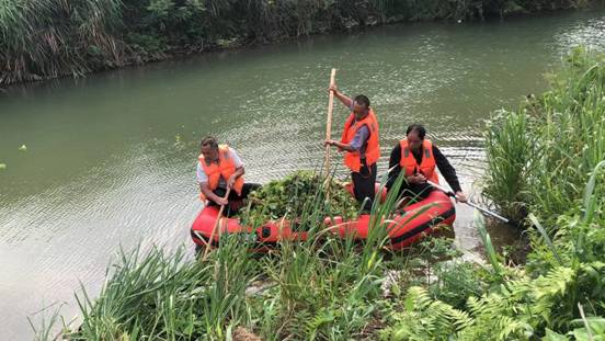 ƽ�;ŷ壺�������������ӵ� ��ˮ�����������