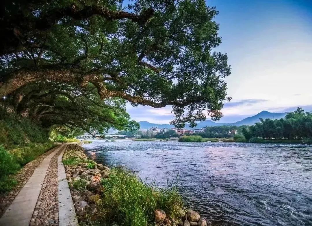 解锁福安夏日多巴胺你心动了吗