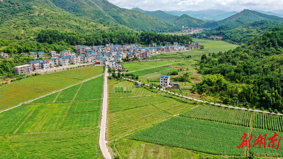 走,去永州——新田篇丨走,去"南有新田"寻找诗和远方