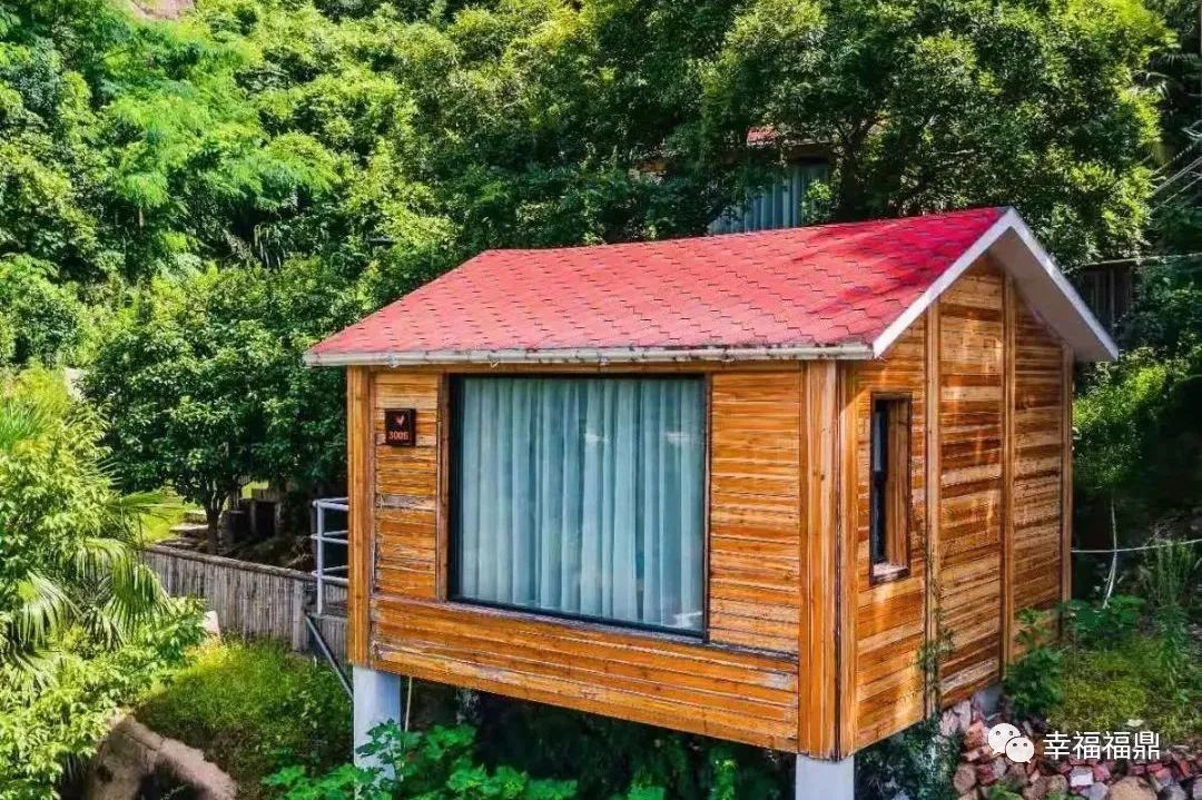 目前,小白鹭村共有民宿38家,便利店12家,渔家乐7家,实现年产值500万元