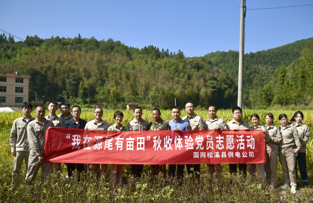 国网松溪县供电公司:“我在乡间有亩田”喜迎丰收