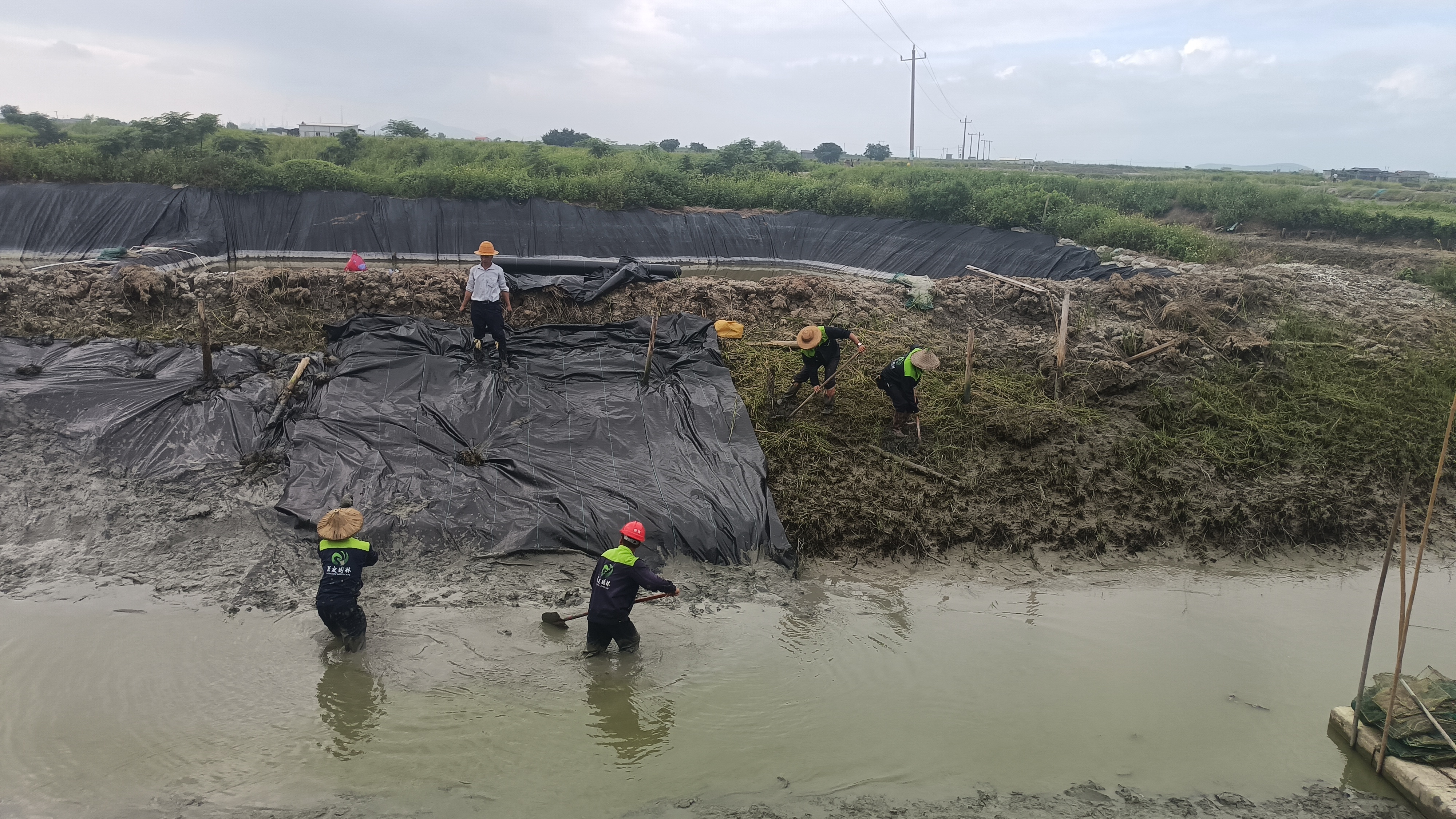 漳州高效助力互花米草除治攻坚战