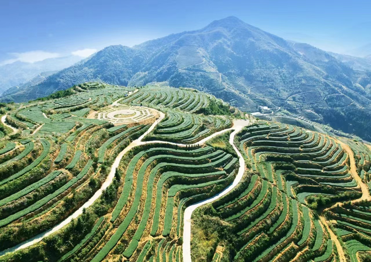 福建日报-新福建客户端11月1日讯(林明达)平和县立足本地实际,加快