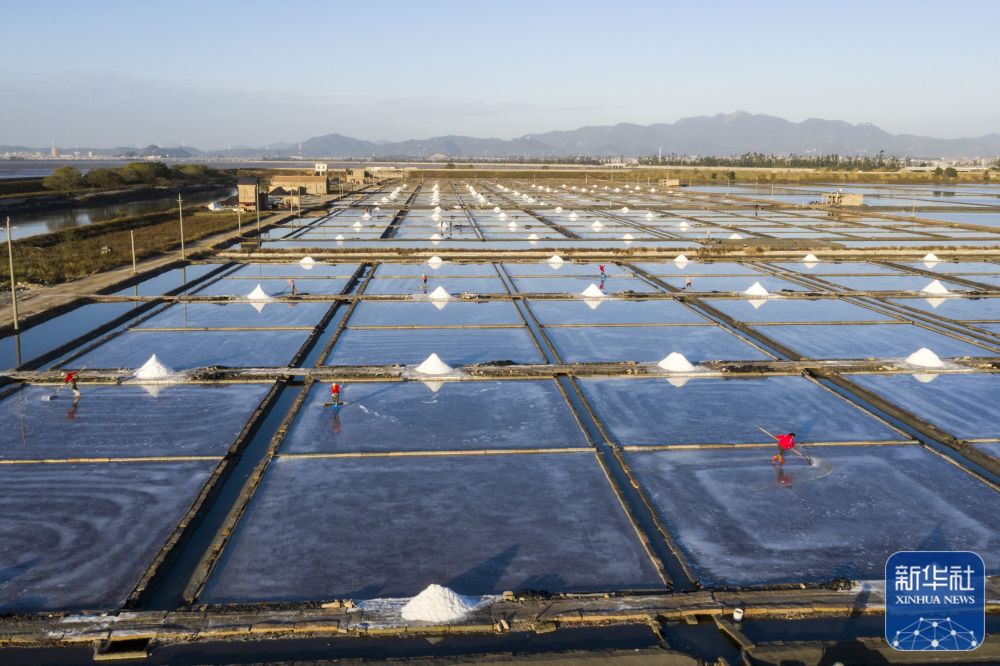 泉港冬日盐田美如画