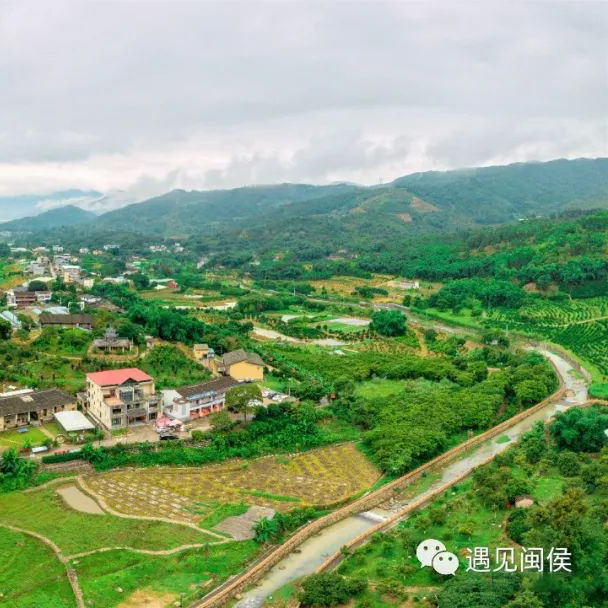 近年來,閩侯縣依託雪峰寺和雪峰一號山地風景道,打造雪峰山城旅遊度假