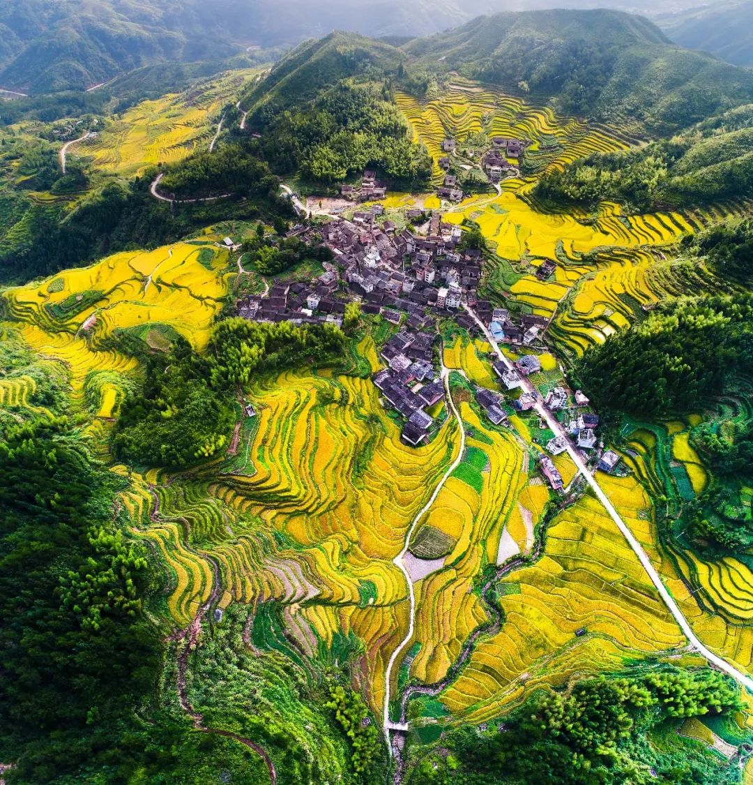 地貌以以山地丘陵为主属典型的中低山丘陵区洞宫山脉东麓寿宁县地处