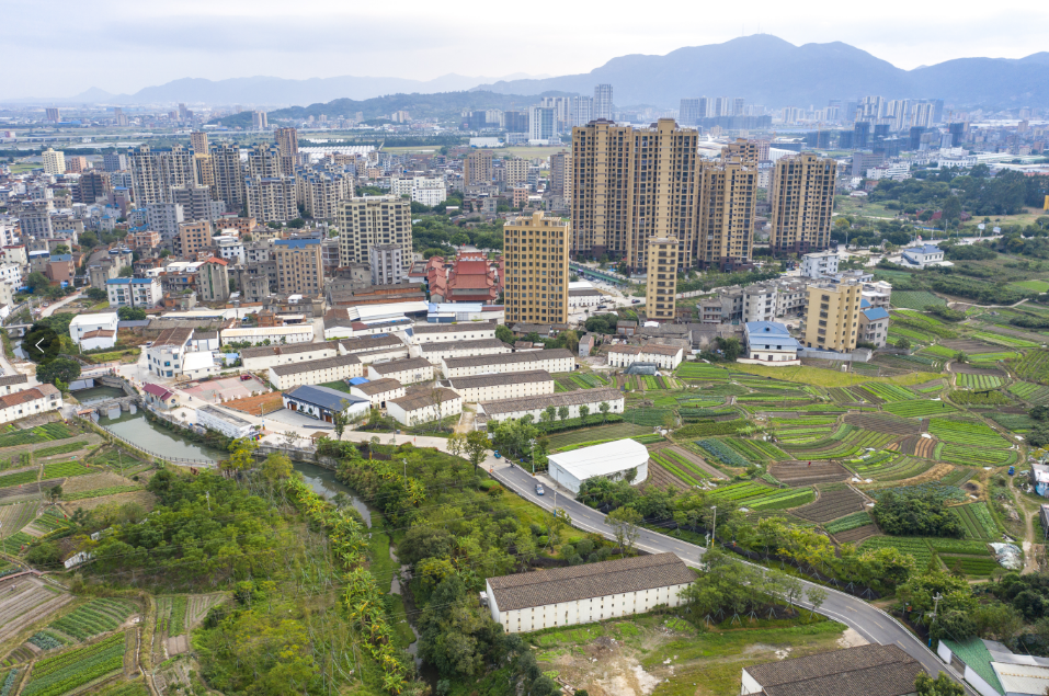 省级特色村、实绩村!长乐这个村“智”理有妙招