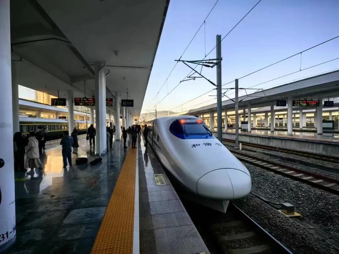 龙龙高铁龙武段正式开通运营