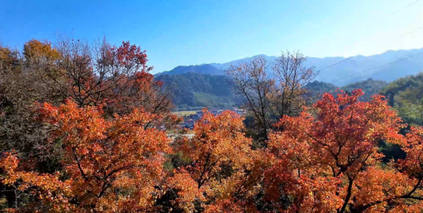 永安市西洋镇蚌口村图片