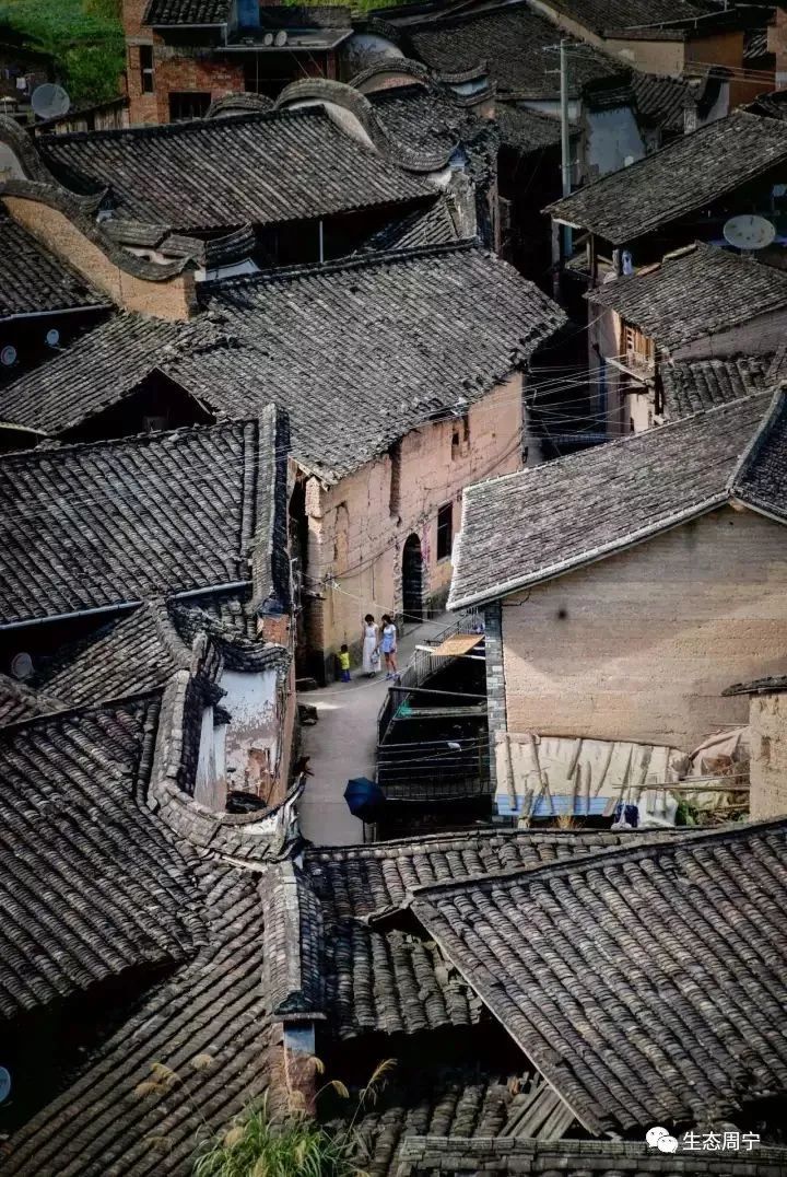 假期家里蹲周宁金牌旅游村给你安排的明明白白