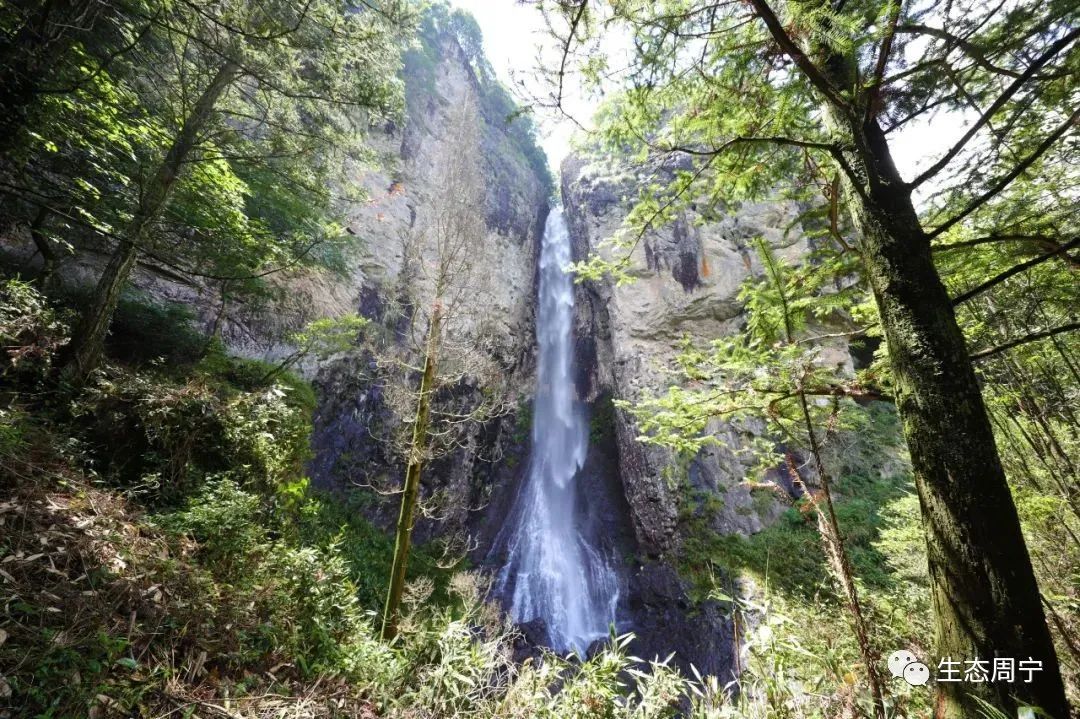 假期家裡蹲周寧金牌旅遊村給你安排的明明白白