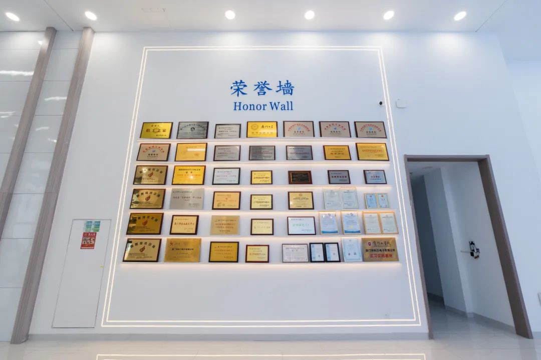 龙重登场集美行业先锋成长记