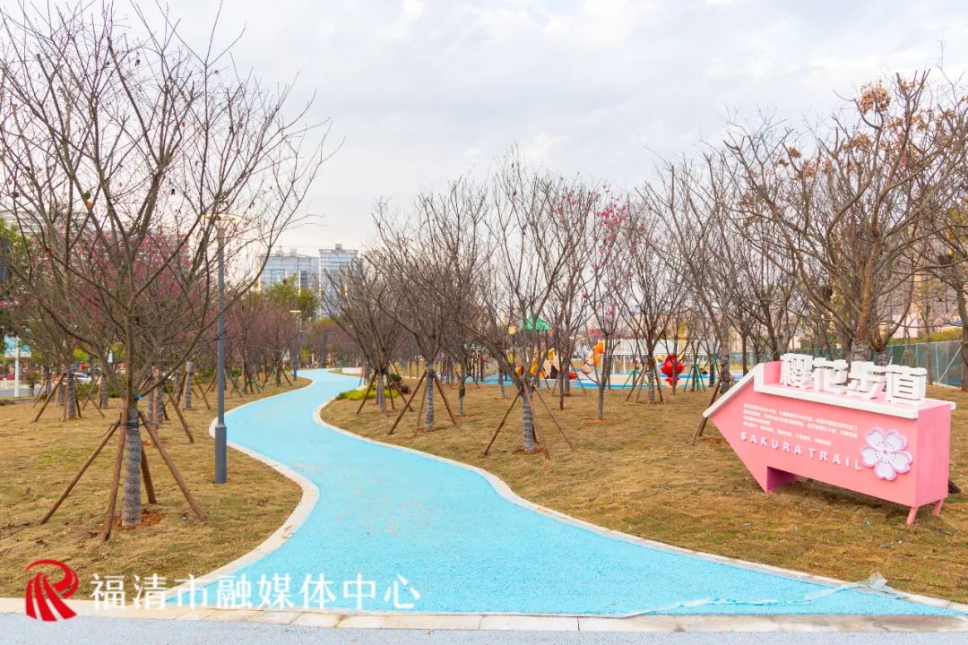 福清樱花主题公园来了!