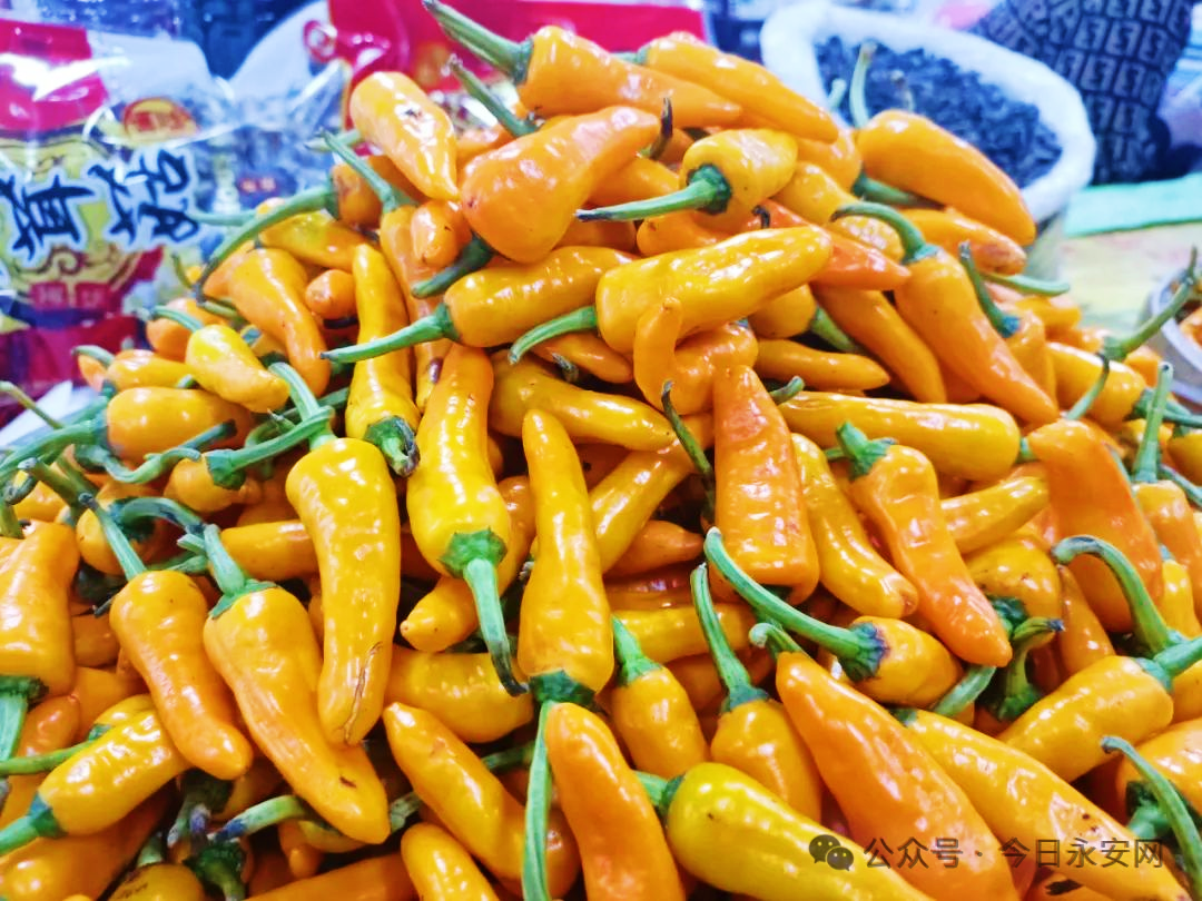 永安黄椒辣椒小辣椒朝天椒地标产品可做黄椒酱新鲜蔬菜批发现货-阿里巴巴