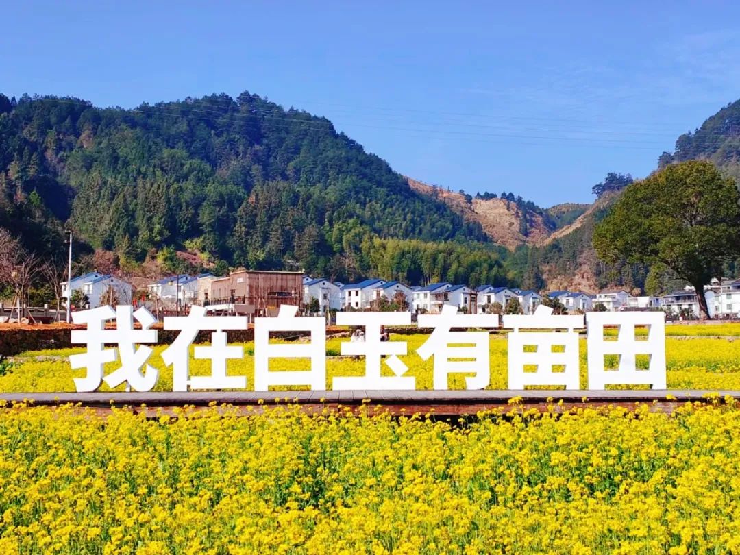 最新花讯报道来宁德赏春光一路繁花一路歌