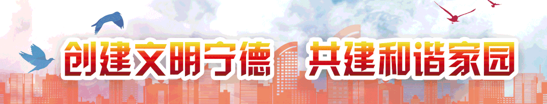 燃10分钟宣传片带你速览世界锂电之都如何巍然崛起