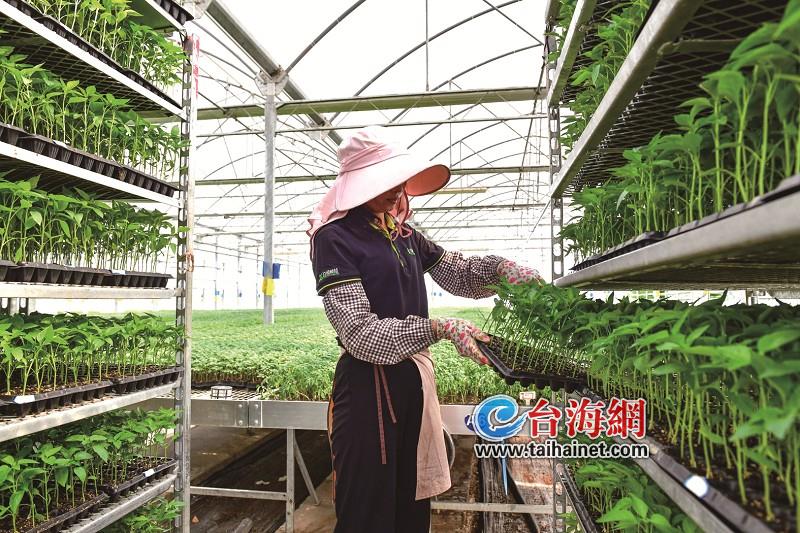 同安：让农业成为有梦想的行业，打造闽台农业融合新高地