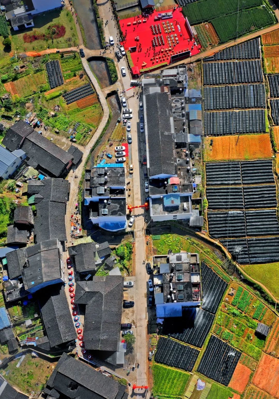 让人尖叫春山春花宴宁德三月鲜文旅活动月历根本玩不过来