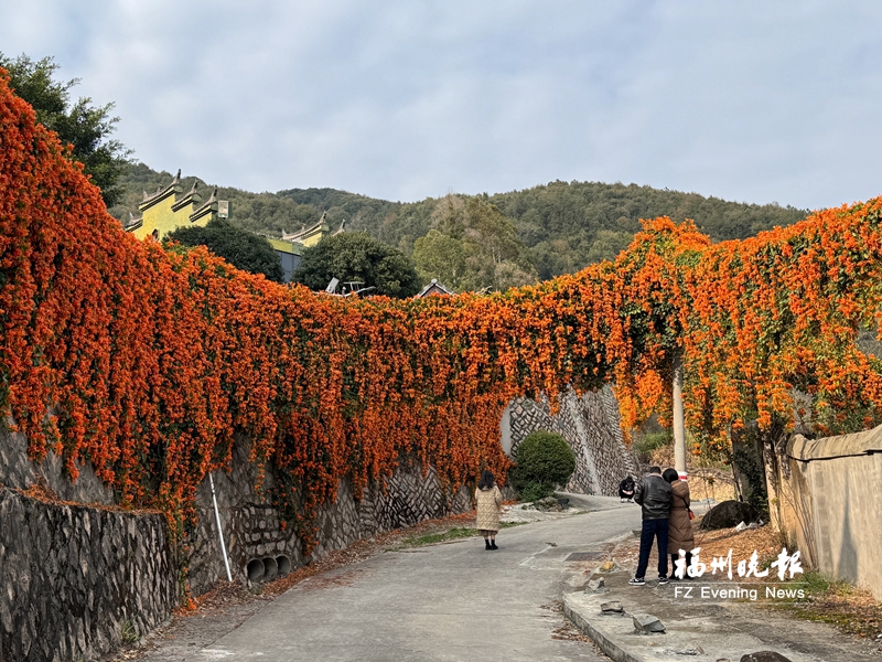 福州升山寺成新晋网红地