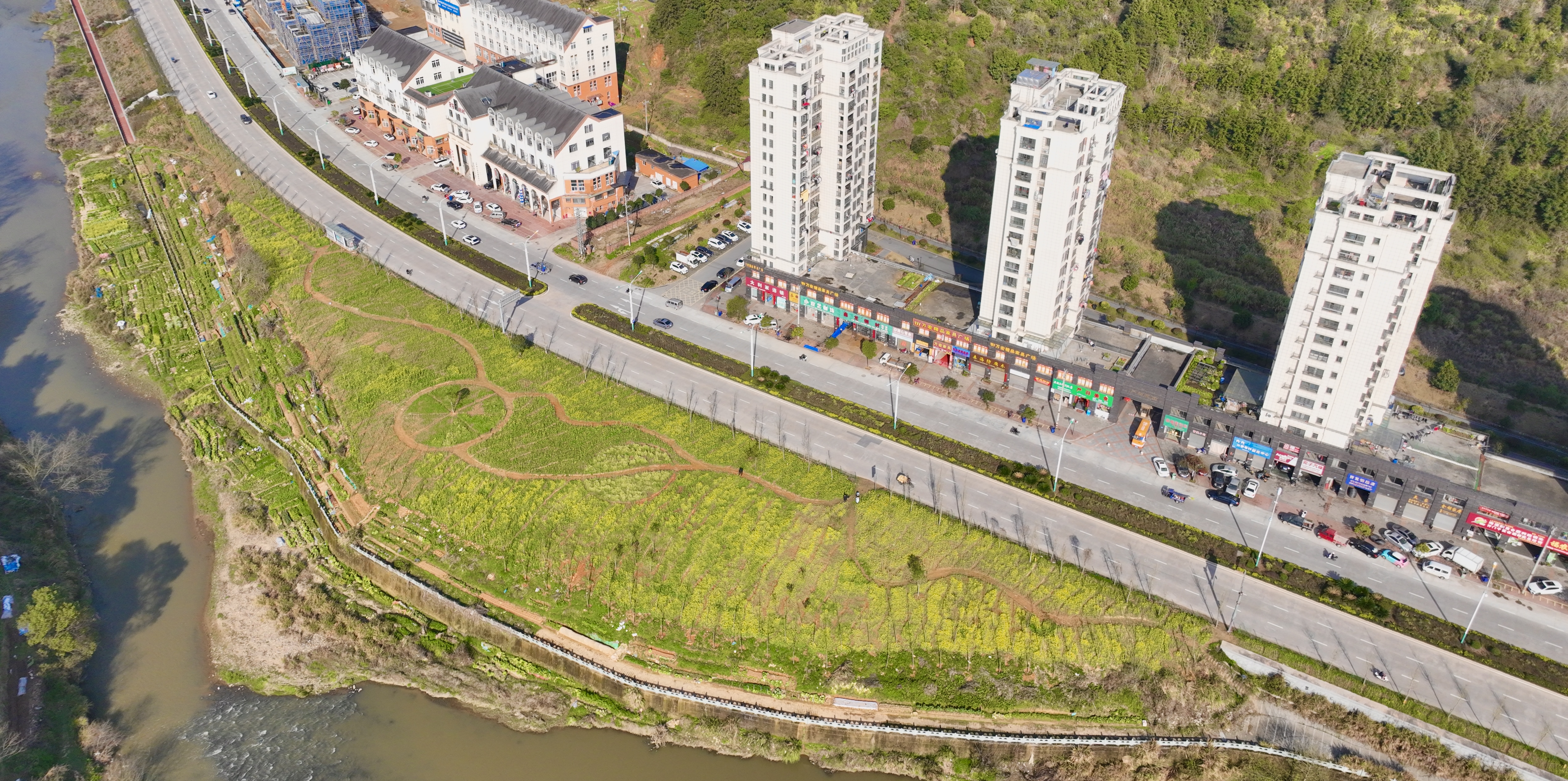 邵武花化点亮城市美景处处皆是