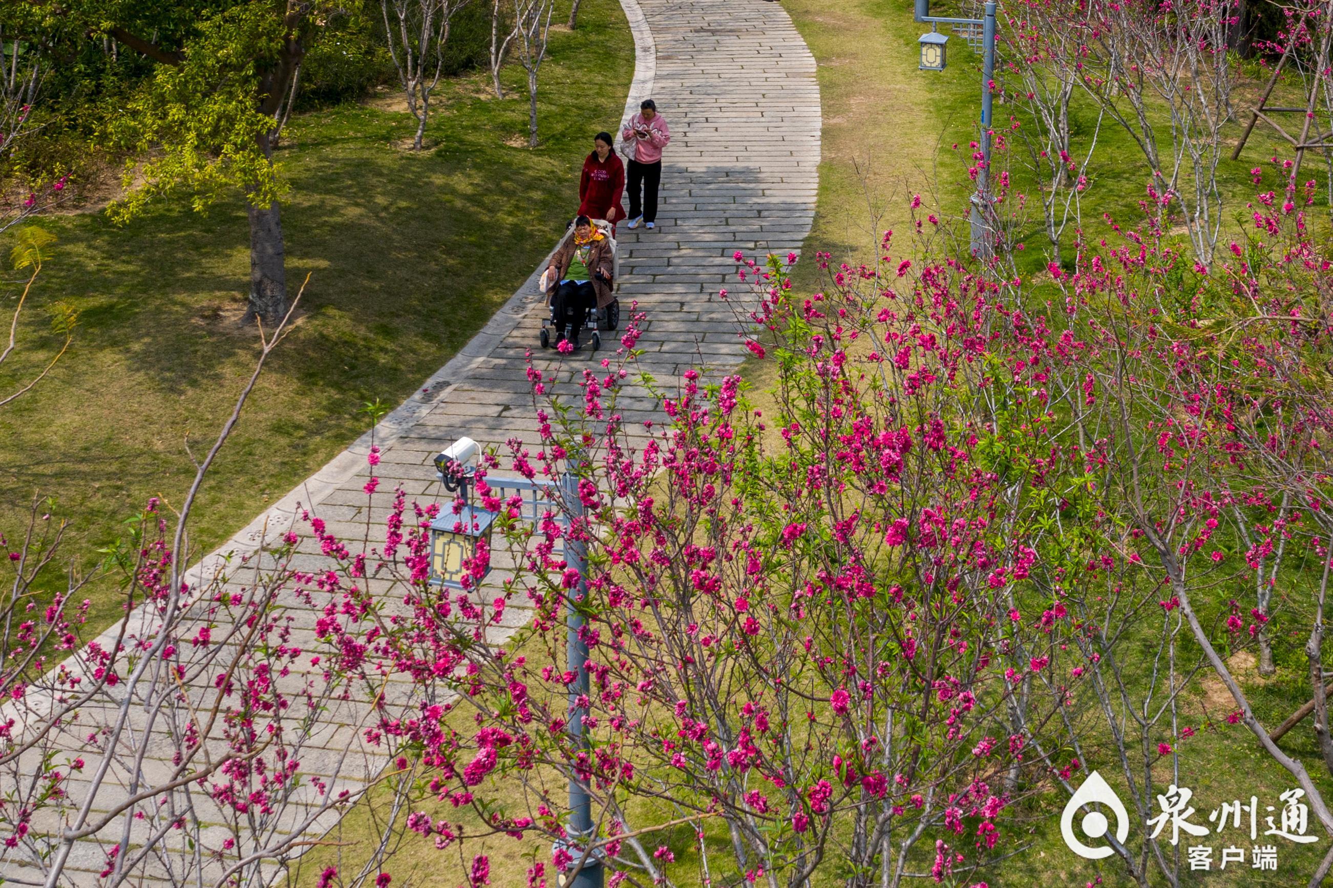 温州桃花岛休闲公园图片