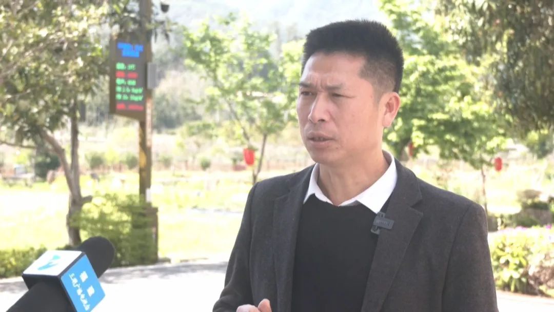 沙县区融合并进抱团发展走出乡村振兴新路子