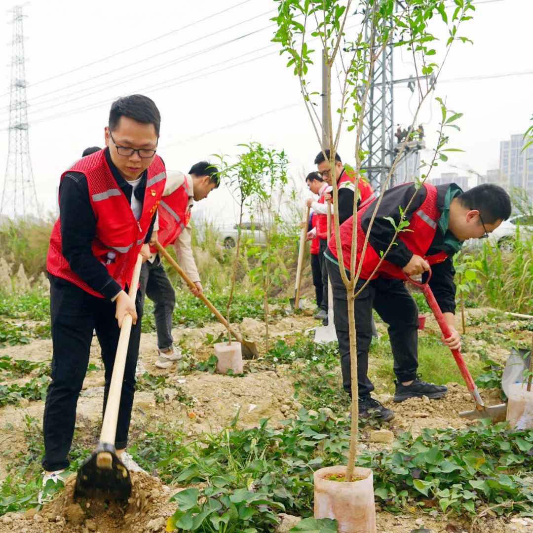 植树现场