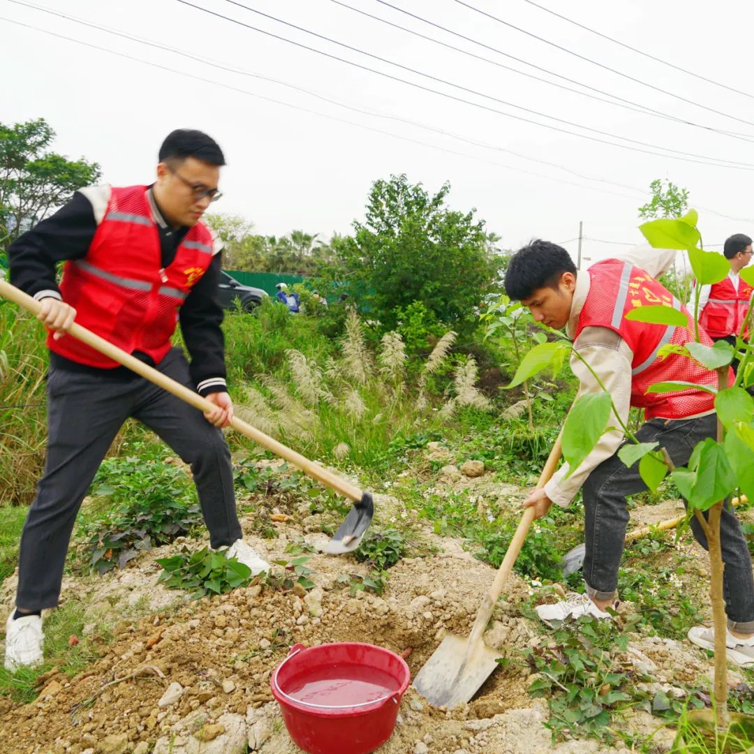 省七建公司春暖三月学雷锋植树增绿我先行