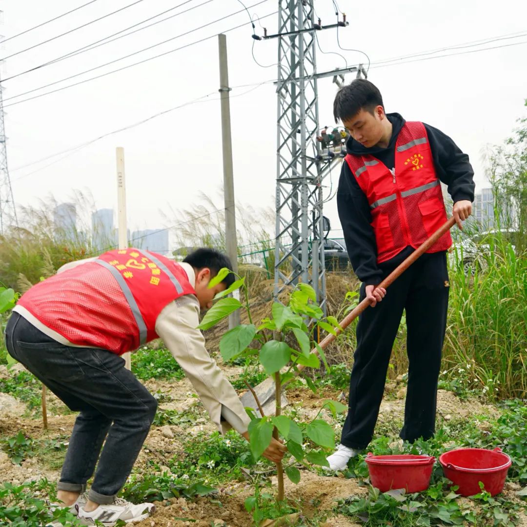 省七建公司春暖三月学雷锋植树增绿我先行