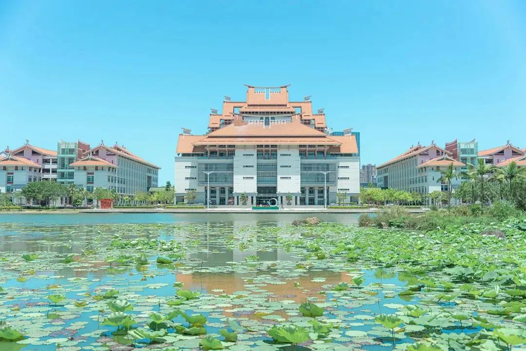 颜值天花板今天的头条属于厦大