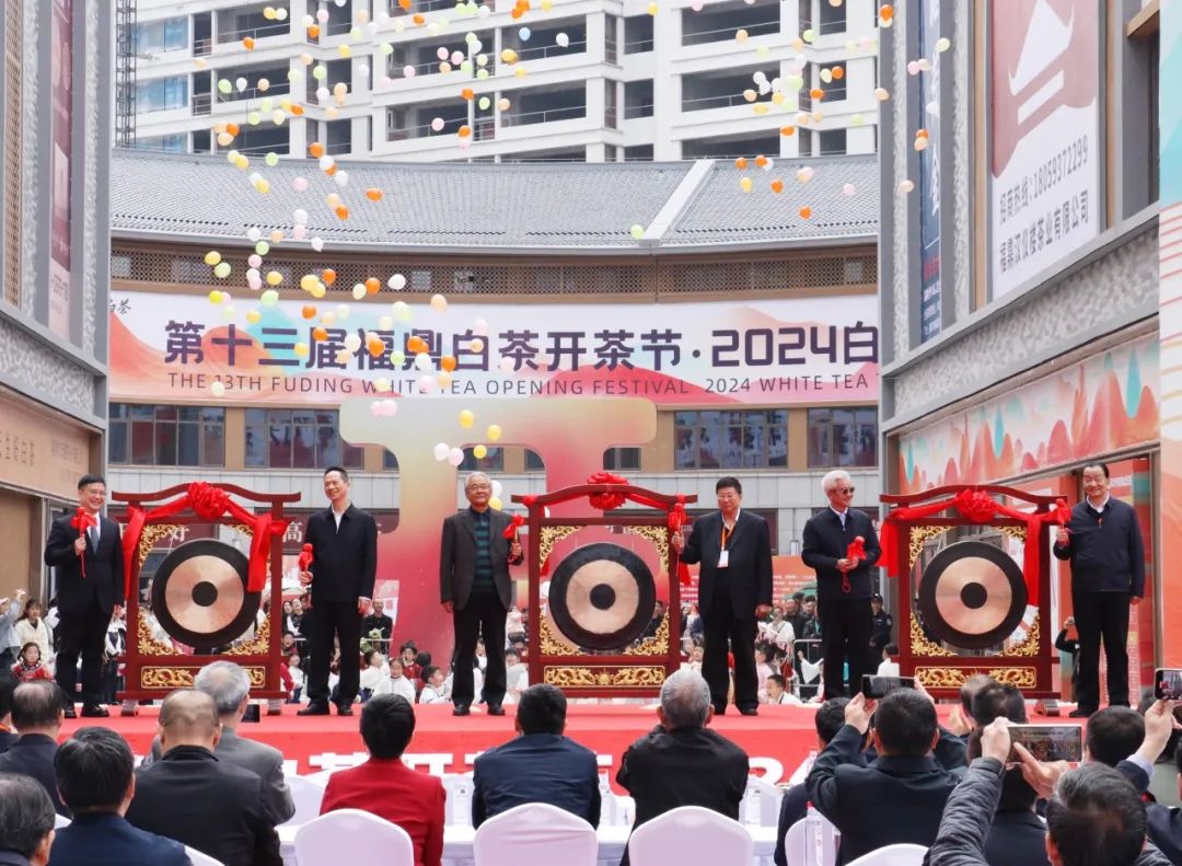 盛况空前!第十三届福鼎白茶开茶节暨2024白茶交易大会在福鼎开幕