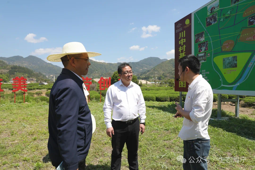 新闻周报一周新闻速览大事小事周宁事2024032520240331