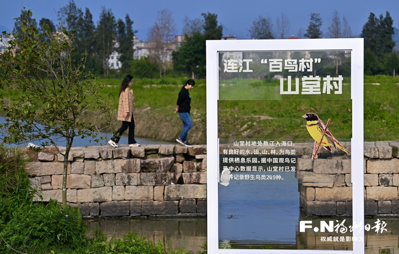 连江东岱镇山堂村有块候鸟自留地