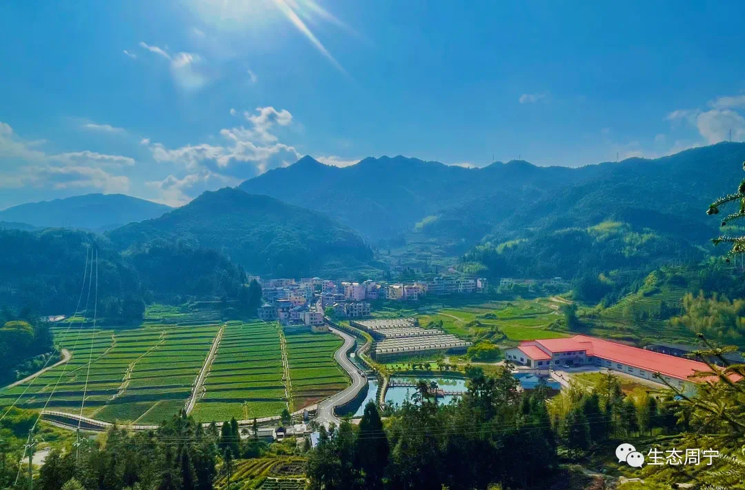 首页>生态周宁>要闻>1080_710