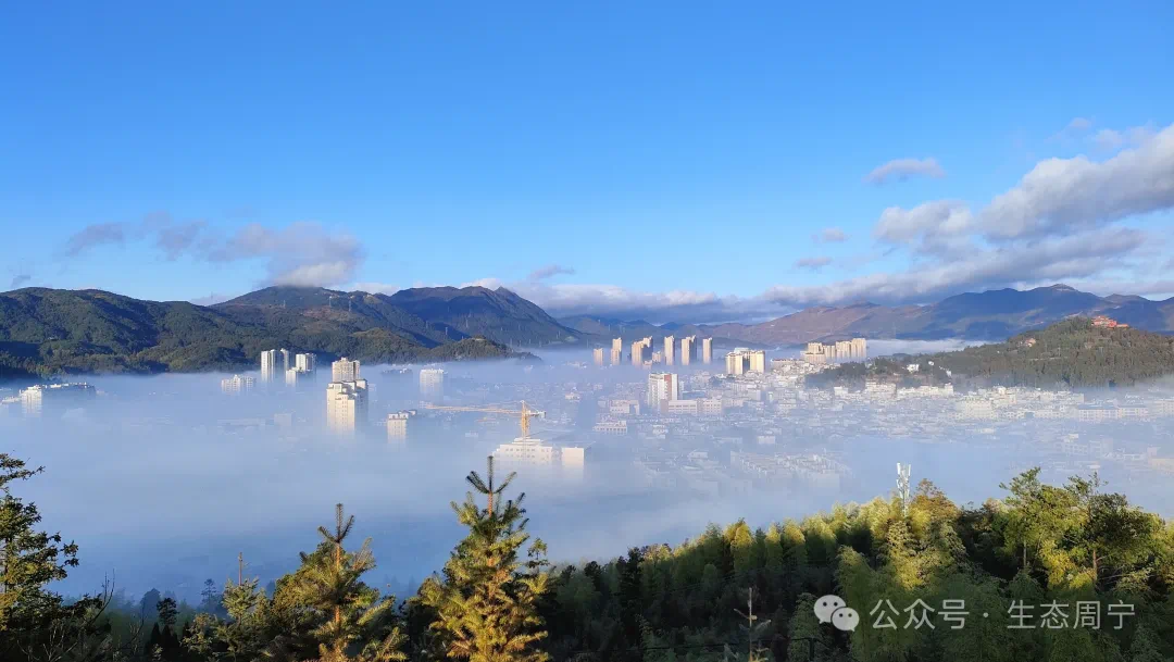 成绩出炉周宁第一名