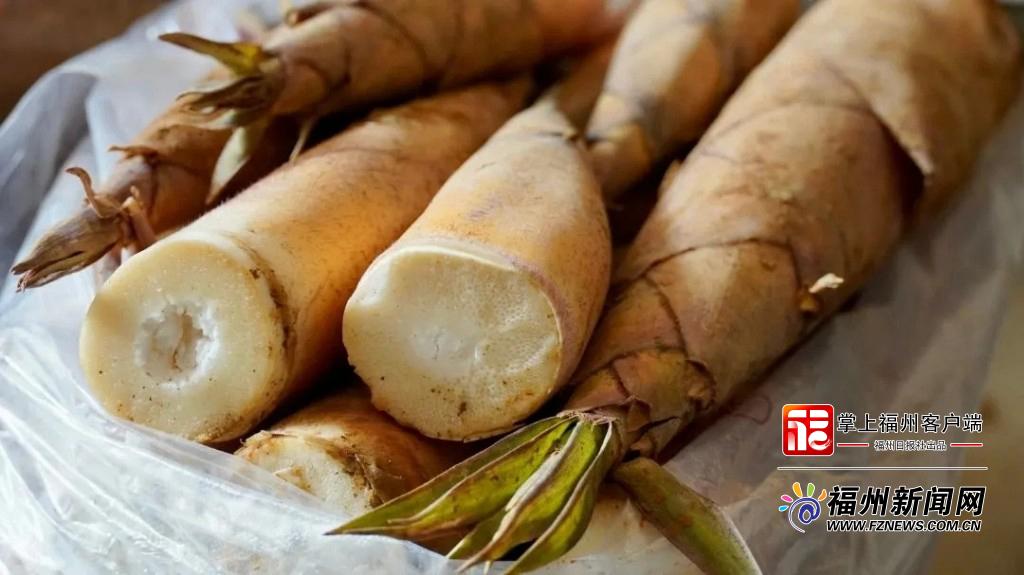"闽清甜笋"成功注册国家地理标志证明商标